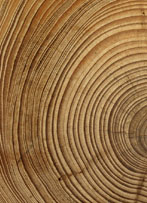 CranioSacral Therapie