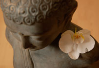 CranioSacral Therapie